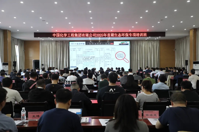 中國化學舉辦2025年首期生態環保專項培訓班