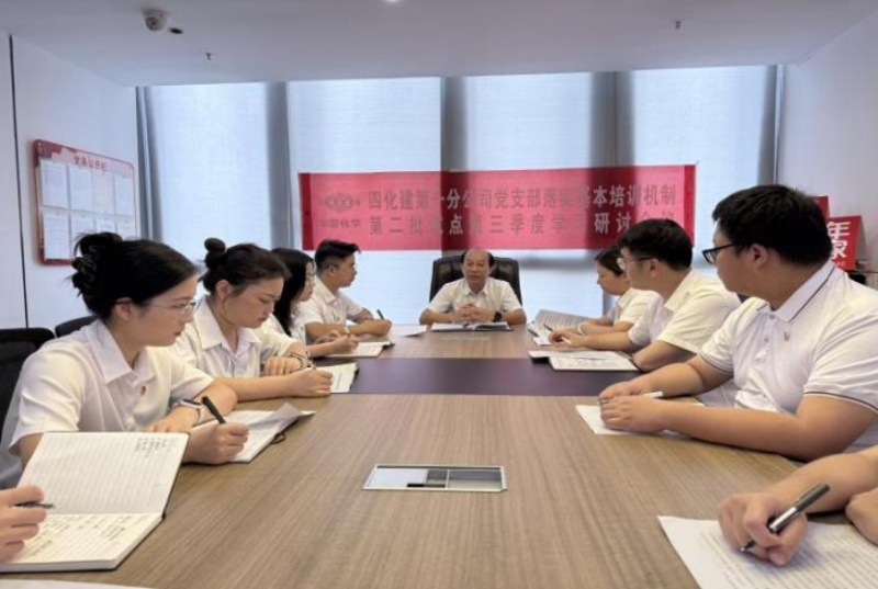中國化學(xué)四化建基層黨組織落實基本培訓(xùn)機制第二批試點第三季度學(xué)習(xí)研討②